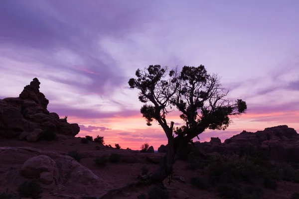 Pôr do sol do deserto de Utah — Fotografia de Stock