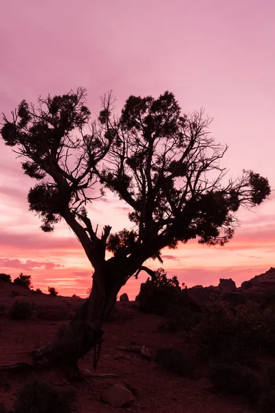 Sonnenuntergang in der Wüste utah — Stockfoto