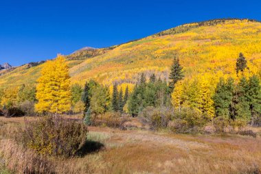 Colorado manzara dağlar Güz