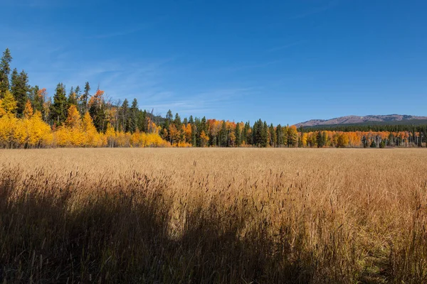 Scenic berglandschap in herfst — Stockfoto
