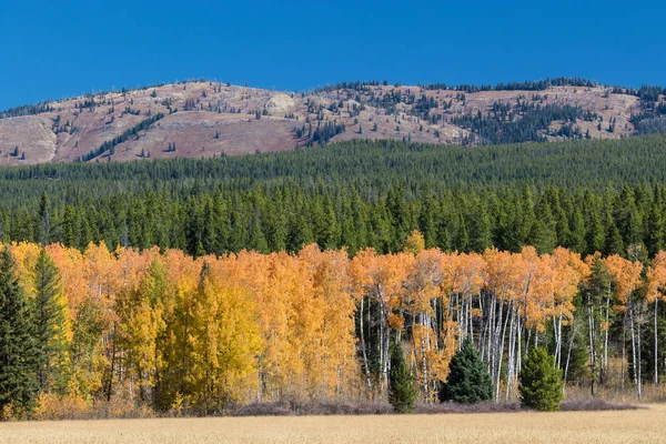 Scenic berglandschap in herfst — Stockfoto