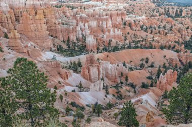 Bryce canyon peyzaj