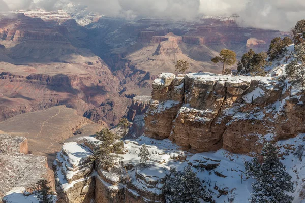 Winter at the South Rim — Stock Photo, Image