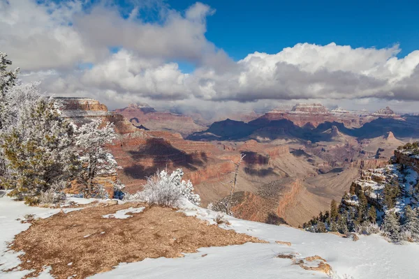 Winter at the South Rim — Stock Photo, Image