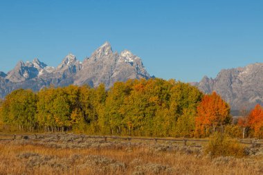Teton sonbahar manzara