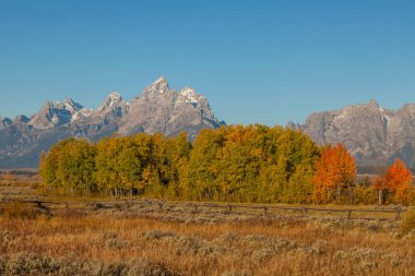 Teton sonbahar manzara