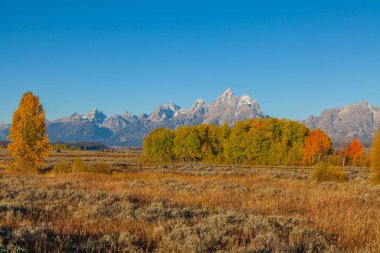 Teton sonbahar manzara