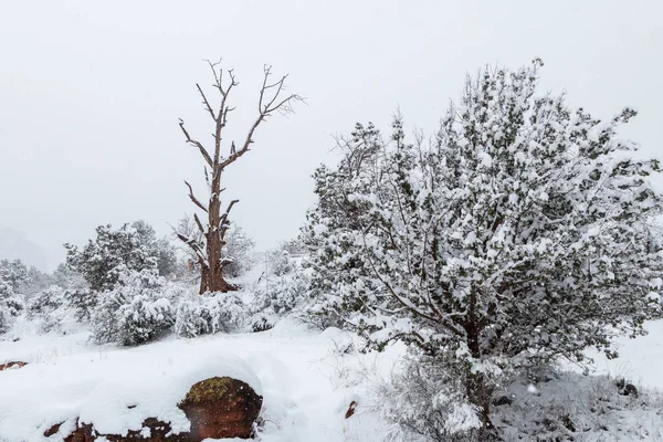 Winter Snow Sedona Arizona — Stock Photo, Image