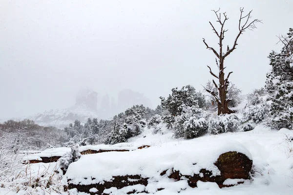 Zimní sníh Sedona Arizona — Stock fotografie