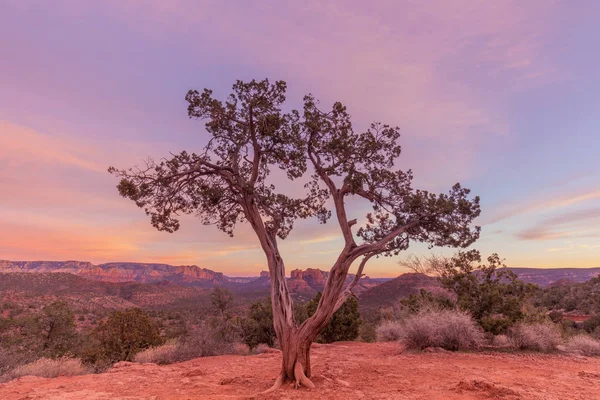 Sedona Arizona Tramonto — Foto Stock