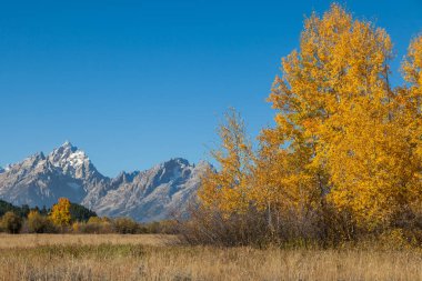 Teton doğal peyzaj Güz