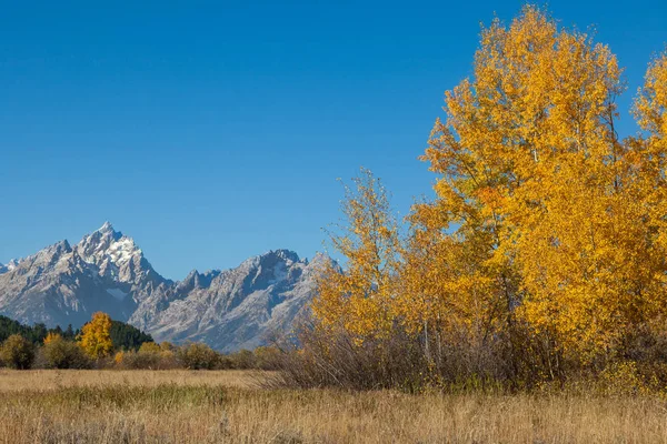 Paisaje escénico de Teton en otoño —  Fotos de Stock