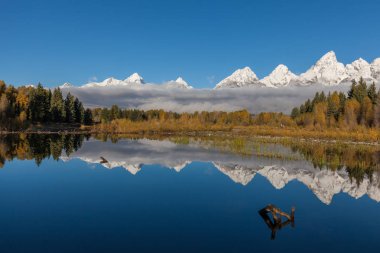 Teton sonbahar yansıma