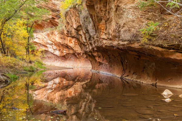 Scenic West Fork in Fall — Stock Photo, Image