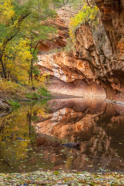 Escénica bifurcación oeste en otoño —  Fotos de Stock