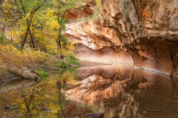 Scenic Zachód rozwidleniu jesienią — Zdjęcie stockowe