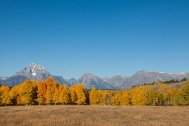 Sonbaharda doğal Tetons