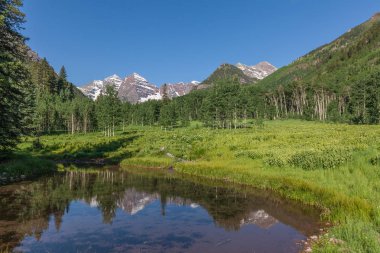 Kestane rengi çan yaz yansıma