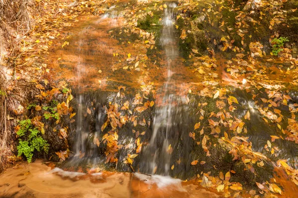 Cascada en otoño — Foto de Stock