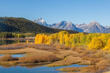 Sonbaharda doğal Tetons