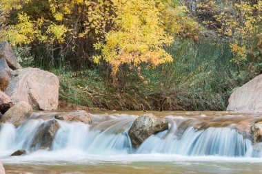 Sonbaharda doğal Virgin River