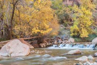 Sonbaharda doğal Virgin River