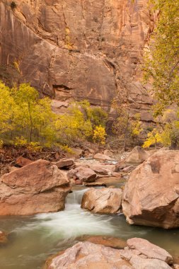 Sonbaharda doğal Virgin River