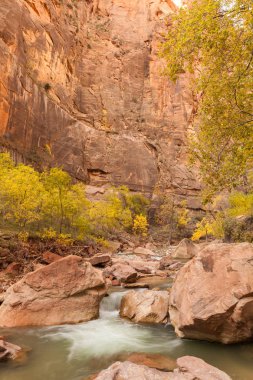 Sonbaharda doğal Virgin River