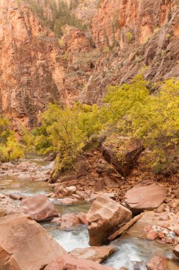 Sonbaharda doğal Virgin River