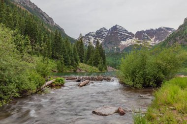 Yaz aylarında doğal kestane çan