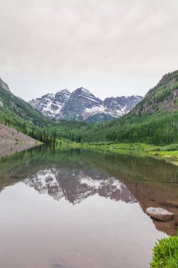 Kestane rengi çan yaz yansıma