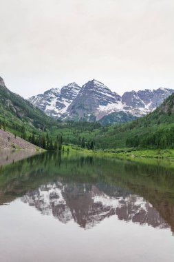 Kestane rengi çan yaz yansıma
