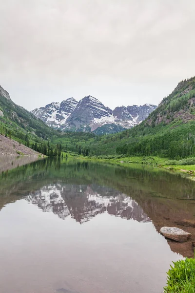 Kestane rengi çan yaz yansıma