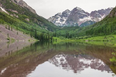 Kestane rengi çan yaz yansıma
