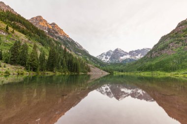 Kestane rengi çan yaz yansıma