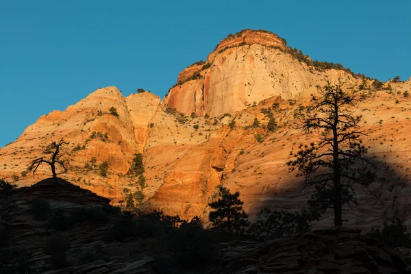 Parque Nacional de Zion Sunrise Paisagem — Fotografia de Stock