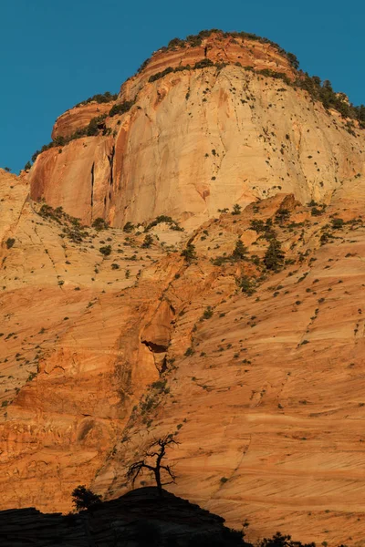 Zion Nationalpark Sonnenaufgangslandschaft — Stockfoto