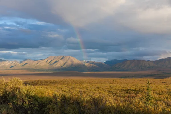 Denali National Park landskap — Stockfoto