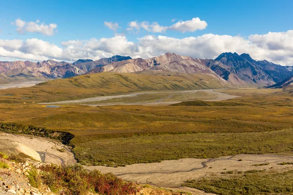 Denali National Park landskap — Stockfoto