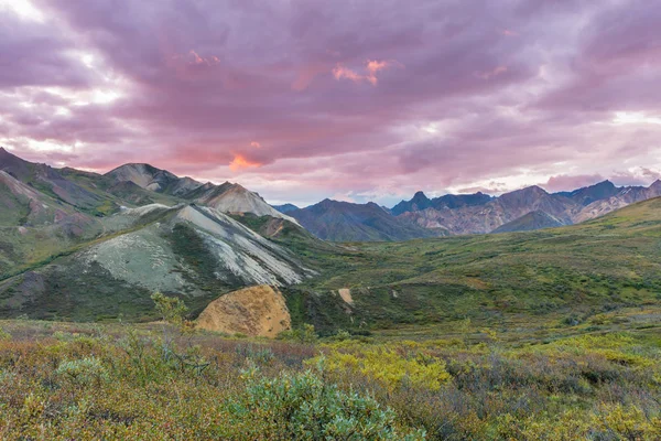 Denali nemzeti parkban fekvő — Stock Fotó