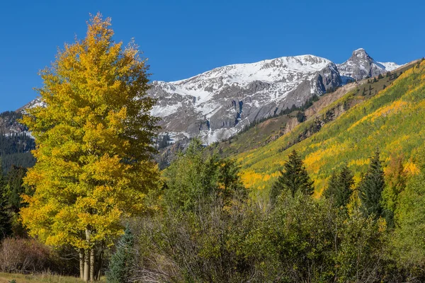 ロッキー山脈の秋 — ストック写真