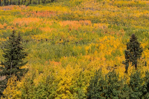Jesień w Górach Skalistych — Zdjęcie stockowe
