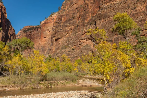 Herfst in het Nationaal Park Zion — Stockfoto