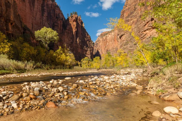 Herbst im Zion Nationalpark — Stockfoto