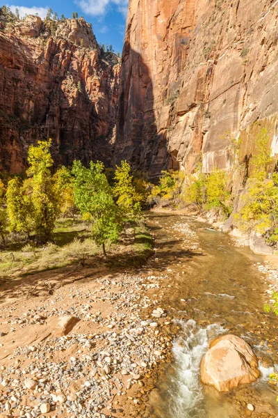 Otoño en el Parque Nacional de Zion — Foto de Stock