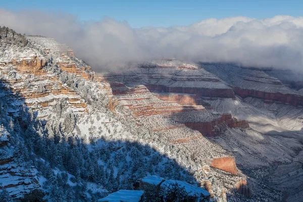 Winter at the South Rim — Stock Photo, Image