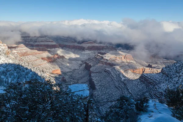 Invierno en el borde sur —  Fotos de Stock