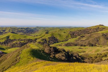 California sahil peyzaj