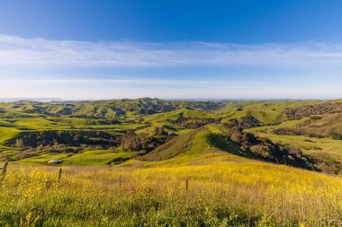 California sahil peyzaj