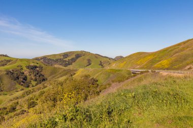 California sahil peyzaj